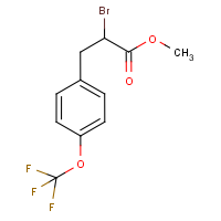 CAS: 175203-81-3 | PC5069 | Methyl 2-bromo-3-[4-(trifluoromethoxy)phenyl]propionate