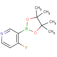 CAS: 1220219-91-9 | PC510169 | 4-Fluoropyridine-3-boronic acid pinacol ester