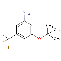 CAS: 1369841-47-3 | PC510178 | 3-(tert-Butoxy)-5-(trifluoromethyl)aniline