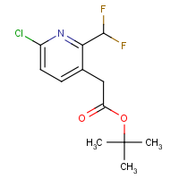 CAS:2149590-04-3 | PC520024 | tert-Butyl 2-[6-chloro-2-(difluoromethyl)-3-pyridyl]acetate