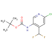 CAS:2149597-34-0 | PC520042 | tert-Butyl N-[6-chloro-4-(difluoromethyl)-3-pyridyl]carbamate