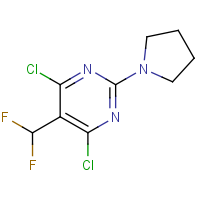 CAS:2091581-62-1 | PC520055 | 4,6-Dichloro-5-(difluoromethyl)-2-pyrrolidin-1-yl-pyrimidine