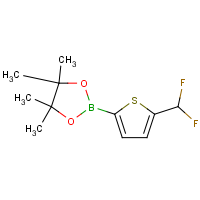 CAS: | PC520185 | 2-[5-(Difluoromethyl)-2-thienyl]-4,4,5,5-tetramethyl-1,3,2-dioxaborolane