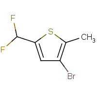 CAS: 2091602-53-6 | PC520223 | 3-Bromo-5-(difluoromethyl)-2-methyl-thiophene
