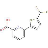 CAS: | PC520244 | 6-[5-(Difluoromethyl)-2-thienyl]pyridine-2-carboxylic acid
