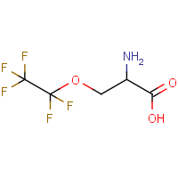 CAS: 1301738-61-3 | PC520775 | 2-Amino-3-pentafluoroethyloxy-propionic acid