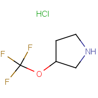 CAS: 1246466-85-2 | PC520779 | 3-(Trifluoromethoxy)pyrrolidine hydrochloride