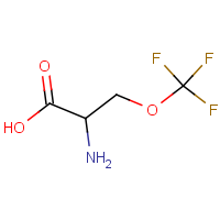 CAS: 1301738-59-9 | PC520821 | 2-Amino-3-(trifluoromethoxy)propionic acid hydrochloride