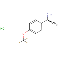 CAS: 1391540-47-8 | PC53093 | (S)-1-(4-(Trifluoromethoxy)phenyl)ethanamine hydrochloride