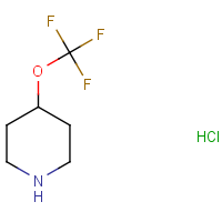 CAS:1612172-50-5 | PC53151 | 4-(Trifluoromethoxy)piperidine hydrochloride