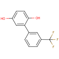 CAS: 260560-53-0 | PC53589 | 3-(2,5-Dihydroxyphenyl)benzotrifluoride