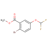 CAS:705279-03-4 | PC56115 | Methyl 2-bromo-5-(difluoromethoxy)benzoate