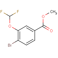 CAS:1331943-86-2 | PC56116 | Methyl 4-bromo-3-(difluoromethoxy)benzoate