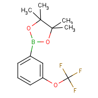 CAS:262376-31-8 | PC5663 | 3-(Trifluoromethoxy)benzeneboronic acid, pinacol ester