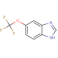 CAS:911825-64-4 | PC6272 | 5-(Trifluoromethoxy)-1H-benzimidazole