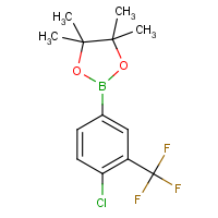CAS:445303-09-3 | PC7018 | 4-Chloro-3-(trifluoromethyl)benzeneboronic acid, pinacol ester