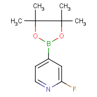 CAS:458532-86-0 | PC8520 | 2-Fluoropyridine-4-boronic acid, pinacol ester
