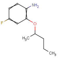 CAS: 1373233-19-2 | PC900303 | 4-Fluoro-2-(pentan-2-yloxy)aniline