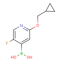 CAS:2096334-21-1 | PC901405 | 2-(Cyclopropylmethoxy)-5-fluoropyridine-4-boronic acid