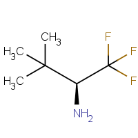 CAS: 736127-08-5 | PC902868 | (S)-2,2-Dimethyl-1-trifluoromethyl-propylamine
