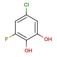 CAS:645405-05-6 | PC907077 | 5-Chloro-3-fluorobenzene-1,2-diol