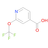 CAS:1221171-98-7 | PC908590 | 2-(Trifluoromethoxy)isonicotinic acid