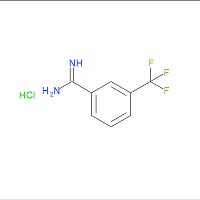 CAS:62980-03-4 | PC99445 | 3-(Trifluoromethyl)benzenecarboximidamide hydrochloride