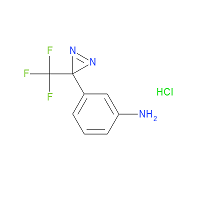 CAS: 196820-30-1 | PC99505 | 3-[3-(Trifluoromethyl)-3H-diaziren-3-yl]aniline hydrochloride
