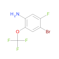 CAS: 1805180-06-6 | PC99577 | 4-Bromo-5-fluoro-2-(trifluoromethoxy)aniline